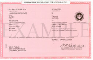 red certificate