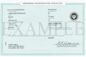 sample green certificate