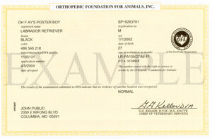 yellow certificate