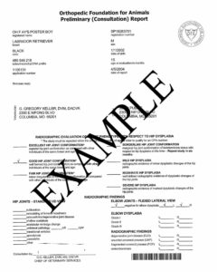 white sample certificate
