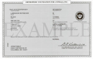 grey certificate